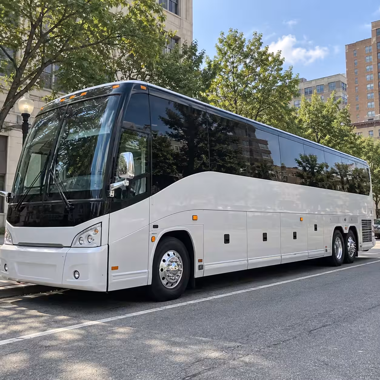 bridal party transportation in warner robins georgia